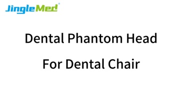 Belt-Mounted Torso Dental Phantom Head - JG-C4