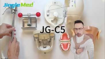 Height-Adjustable Storable Dental Training Head - JG-C5