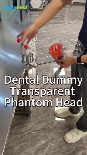 Transparent-Cover Table-Clamp Phantom Head - JG-C6-1
