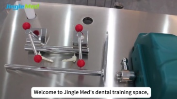 Desk-Mounted Basic Phantom Head for Dental Training - JG-C7