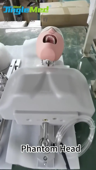 Torso Phantom Head for Dental-Chair Training - JG-C9