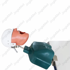Clamp-Mounted Torso Dental Phantom Head - JG-C1