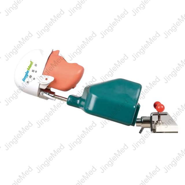 Clamp-Mounted Torso Dental Phantom Head - JG-C1