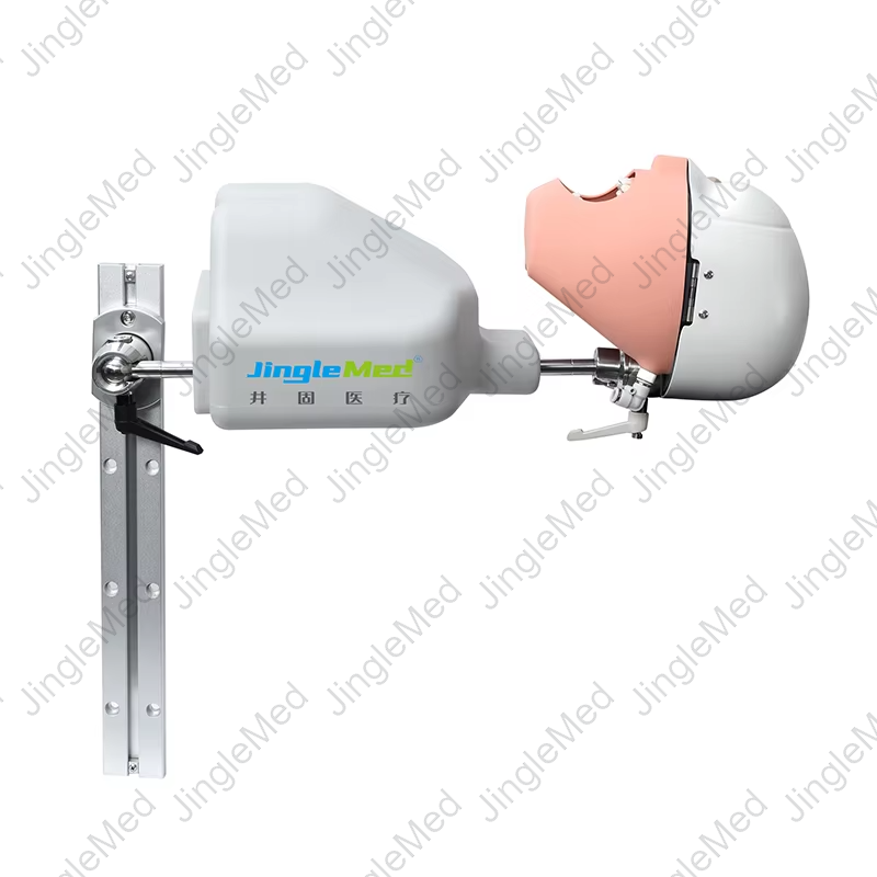 Torso Phantom Head for Dental-Chair Training - JG-C9