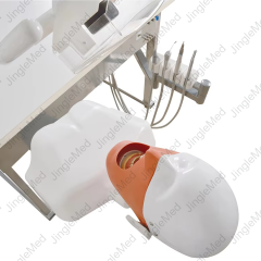 Torso Phantom Head for Dental-Chair Training - JG-C9