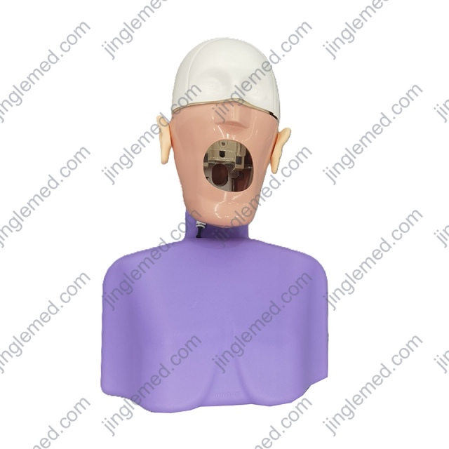 Torso Dental Phantom Head with Typodont - JG-C2