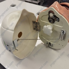 Chair-Headrest Mounted Phantom Head for Dental Training - JG-C3