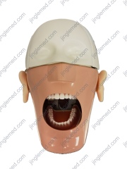 Chair-Headrest Mounted Phantom Head for Dental Training - JG-C3