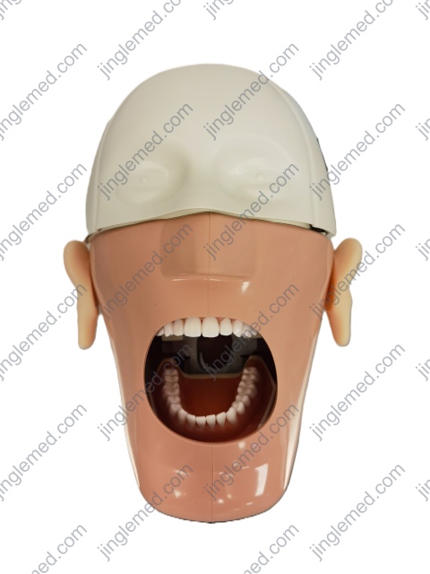 Chair-Headrest Mounted Phantom Head for Dental Training - JG-C3