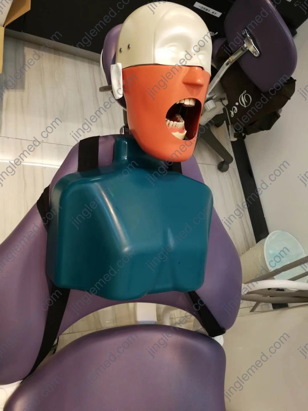 Belt-Mounted Torso Dental Phantom Head - JG-C4
