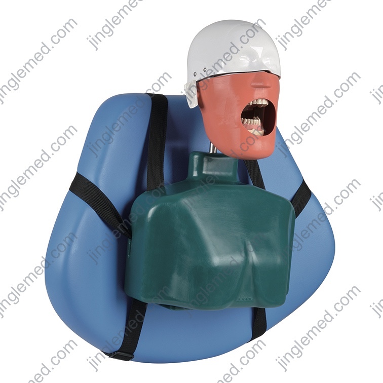 Belt-Mounted Torso Dental Phantom Head - JG-C4