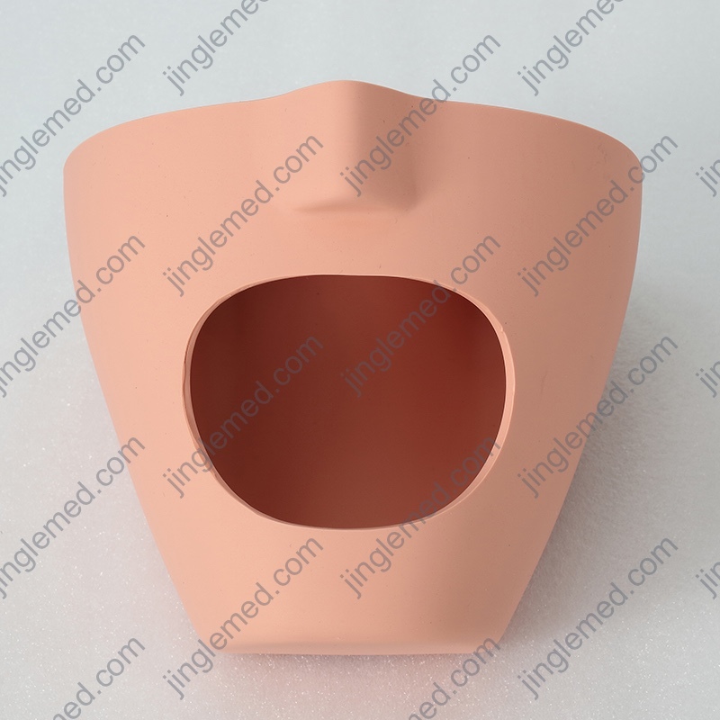 Height-Adjustable Storable Dental Training Head - JG-C5