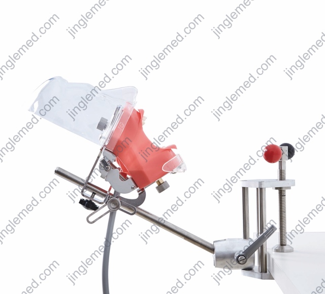 Transparent-Cover Table-Clamp Phantom Head - JG-C6-1