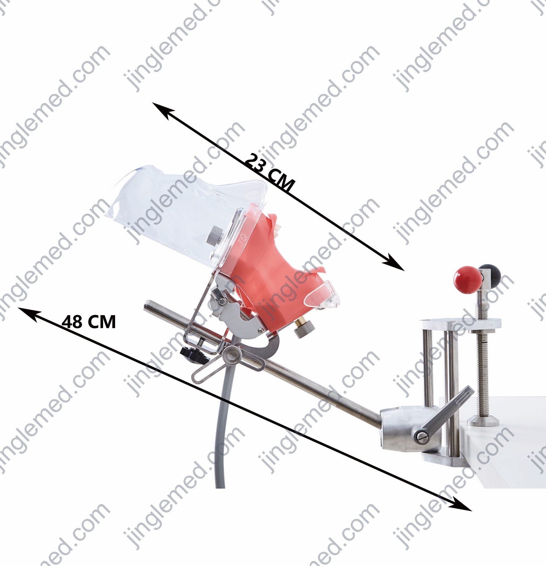 Transparent-Cover Table-Clamp Phantom Head - JG-C6-1