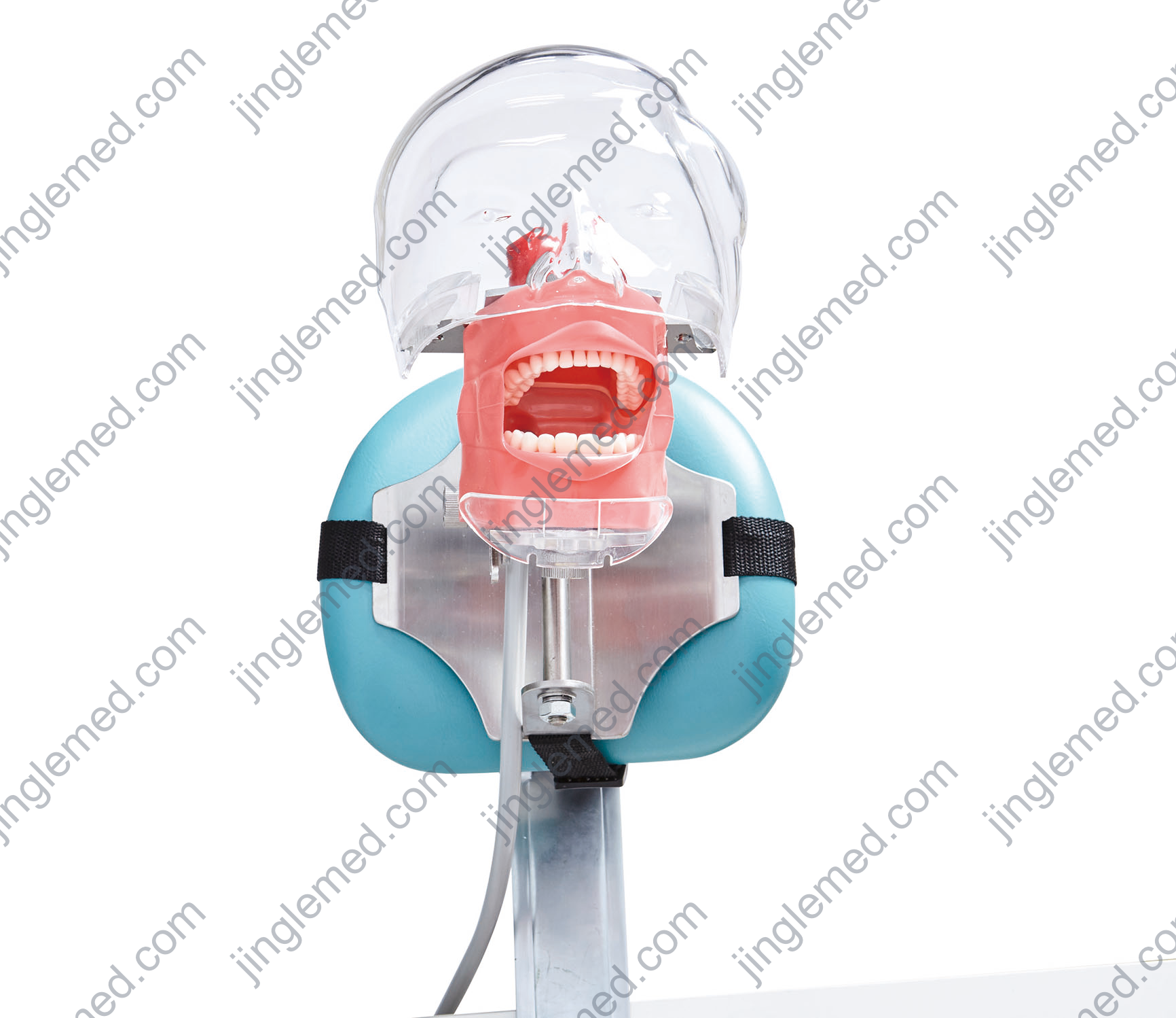 Transparent-Cover Table-Clamp Phantom Head - JG-C6-1
