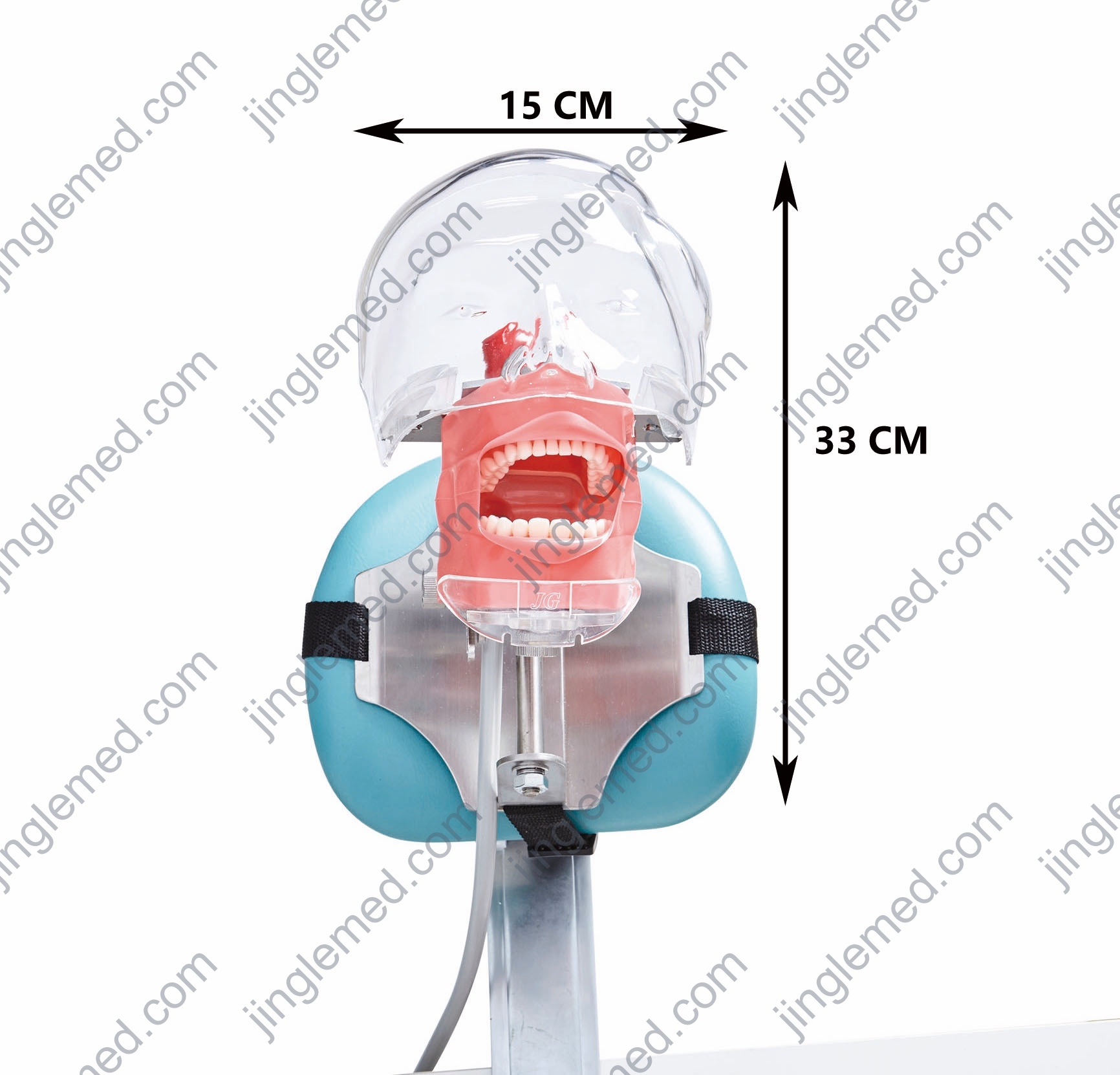 Bench or Dental-Chair Mount Phantom Head - JG-C6-3