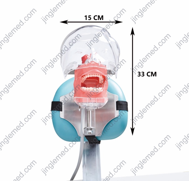 Bench or Dental-Chair Mount Phantom Head - JG-C6-3