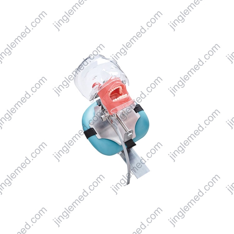 Bench or Dental-Chair Mount Phantom Head - JG-C6-3