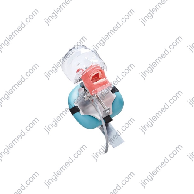 Bench or Dental-Chair Mount Phantom Head - JG-C6-3