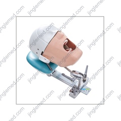 Dental Phantom Head with Chair-Headrest Clamp - JG-C8