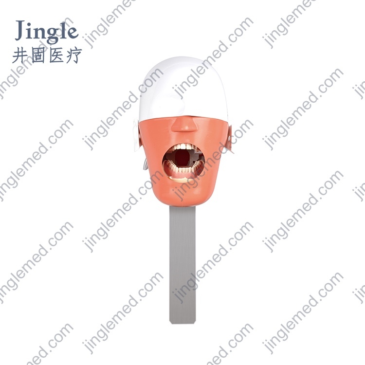 Dental Phantom Head with Chair-Headrest Clamp - JG-C8