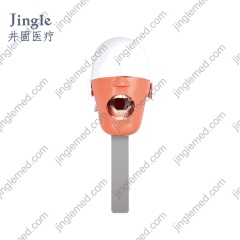 Dental Phantom Head with Chair-Headrest Clamp - JG-C8