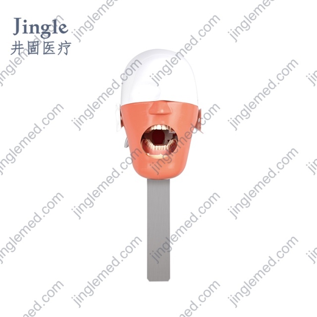 Dental Phantom Head with Chair-Headrest Clamp - JG-C8