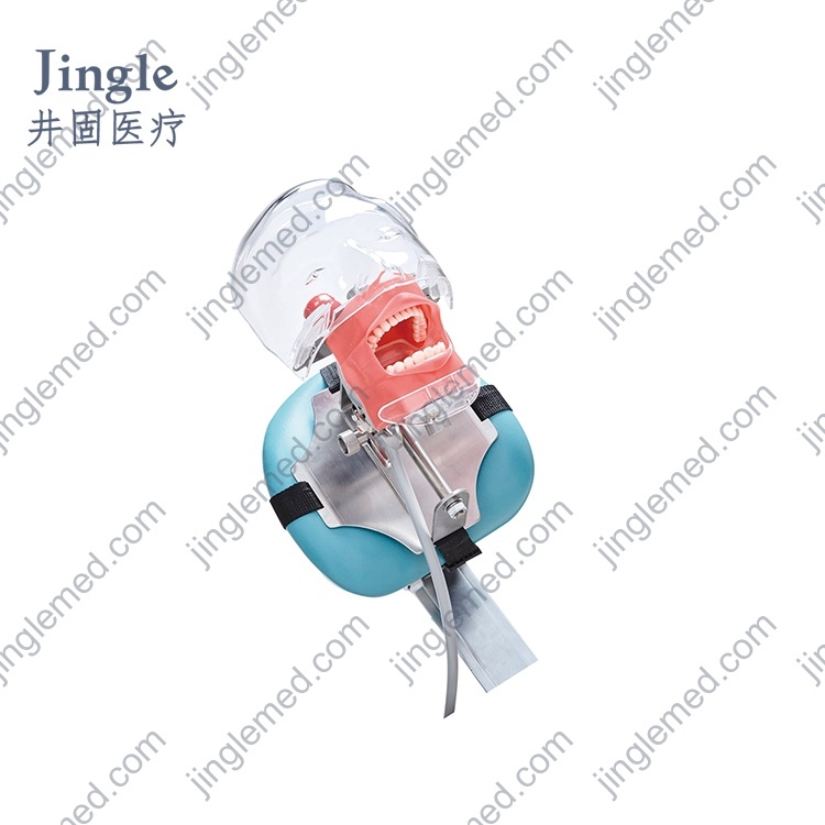 Dental Phantom Head with Chair-Headrest Clamp - JG-C8