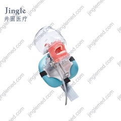 Dental Phantom Head with Chair-Headrest Clamp - JG-C8