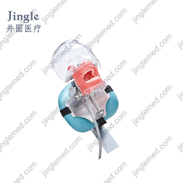 Dental Phantom Head with Chair-Headrest Clamp - JG-C8