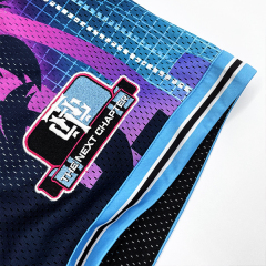 Pantalones cortos de baloncesto con bordado de doble capa