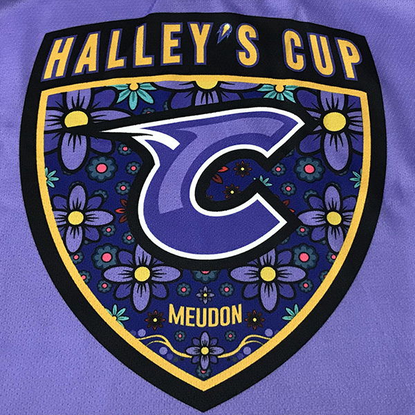 Custom Purple Ice Hockey Jersey