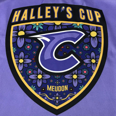 Custom Purple Ice Hockey Jersey