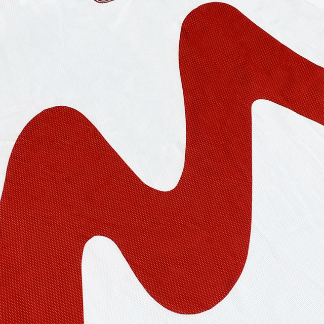 Withe Sublimation Design Embroidery Soccer Jersey