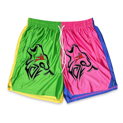 Custom Embroidery Two Tone Design Basketball Shorts