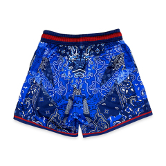 Custom Mesh Design Sublimation Printing Basketball Shorts