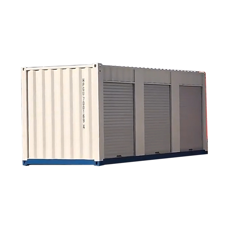 Greevel Customized 20 ft shipping container with roll up door for sale