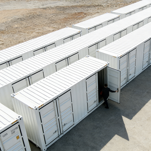 Greevel Multi-Door Steel Shipping Containers for Flexible Access | Ideal for Self-Storage & Moving Storage
