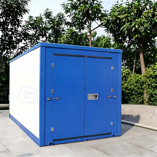 Greevel 8*20F Portable Self-Storage Container with Easy Side Swing Door
