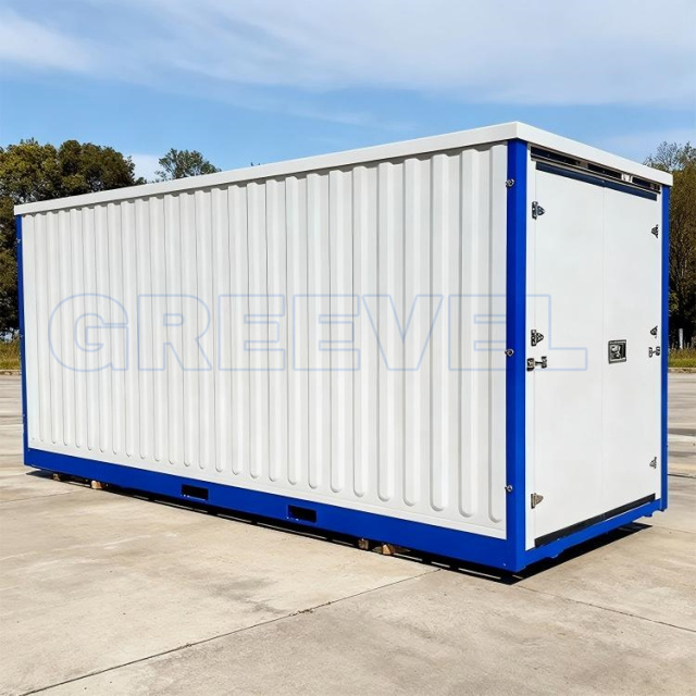 Greevel 8*20F One Double Swing Door Steel Portable Storage Container with Corrugated Walls