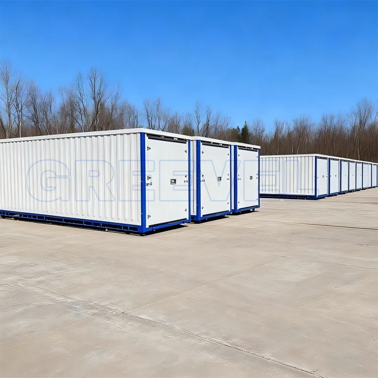 Greevel 8*20F One Double Swing Door Steel Portable Storage Container with Corrugated Walls