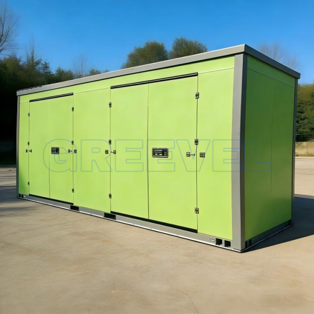 Greevel  8*20F Customized Mobile Self Storage Containers with 2 Side Swing doors