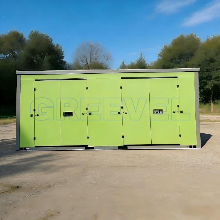 Greevel  8*20F Customized Mobile Self Storage Containers with 2 Side Swing doors
