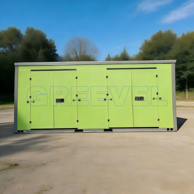 Greevel  8*20F Customized Mobile Self Storage Containers with 2 Side Swing doors
