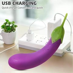Vegetable Sex Toys Realistic Veggie Eggplant Shape Vibrator for Female Clitoris and G Spot Stimulation Masturbation USB Rechargeable Waterproof