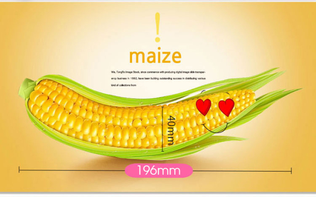 Vegetable Sex Toys Realistic Veggie Corn Cob Maize Shape Vibrator for Female Clitoris and G Spot Stimulation Masturbation USB Rechargeable Waterproof