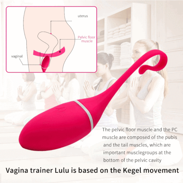 REALOV IRENA Portable Bluetooth Vibrator Sex Toy with Remote Control via Phone App with 10 Speed Mode for Couples