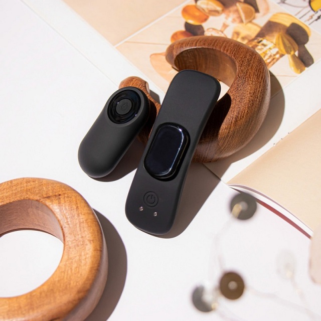 Blush Temptasia Remote Control Panty Vibrator Wearable Sex Toy for Female with 10 Speed Mode   