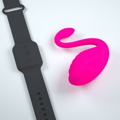 Wholesale Swan Phone APP & Wireless Remote Control Wearable Vibrator with 9 Speed Function for Women Masturbation
