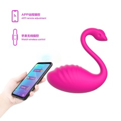 Wholesale Swan Phone APP & Wireless Remote Control Wearable Vibrator with 9 Speed Function for Women Masturbation